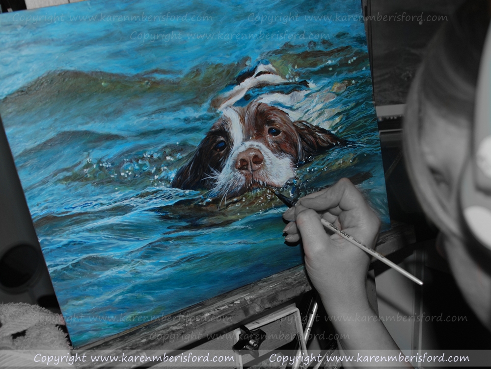 Springer Spaniel swimming in water being completed in Acrylic paints on board