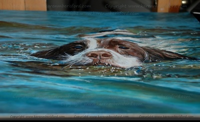 Acrylic painting of a Springer Spaniel swimming in the local lake. Photographed at an angle.