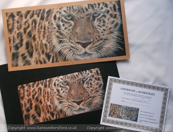 Amur Leopard in Coloured pencils alongside a Giclee print and the Certificate of Authenticity