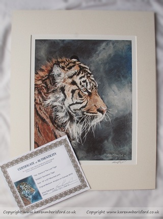 Sumatran Tiger print and certificate of authenticity