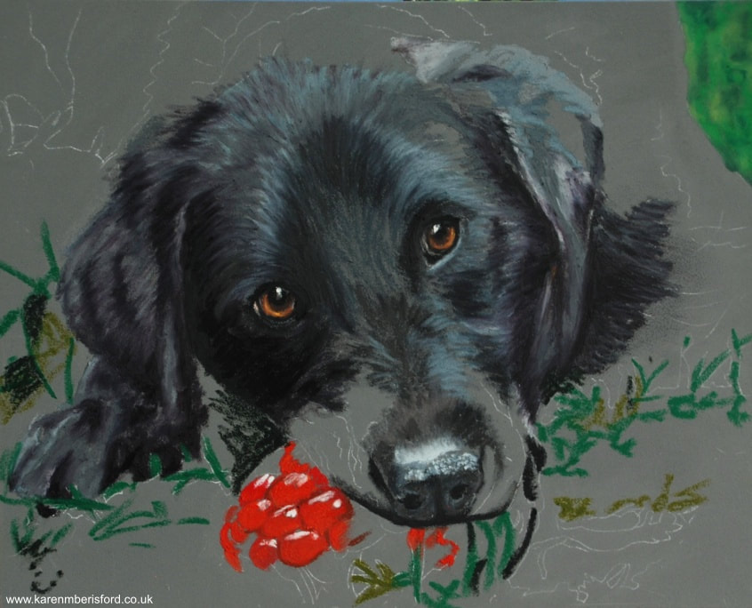 Haze  Black Labrador oil pastel painting - The Northumberland Artist