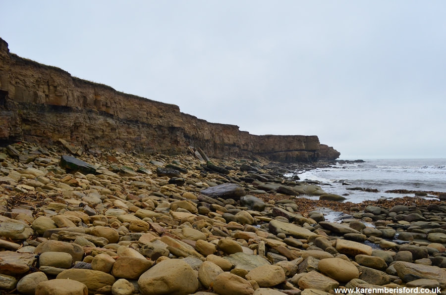 Carboniferous coastline in Newbiggin by the Sea, Northumberland, UK