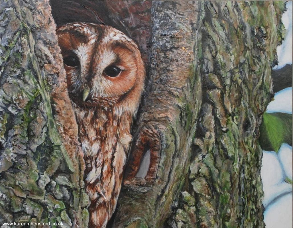 Acrylic painting of a Tawny Owl in a tree nook at Spital Point, Newbiggin by the sea, Northumberland, UK