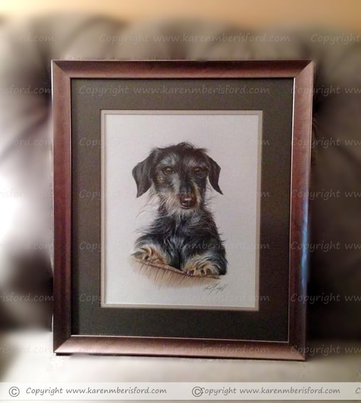 A bronze frame with brown double mount of a Coloured pencil portrait of a long haired daschund
