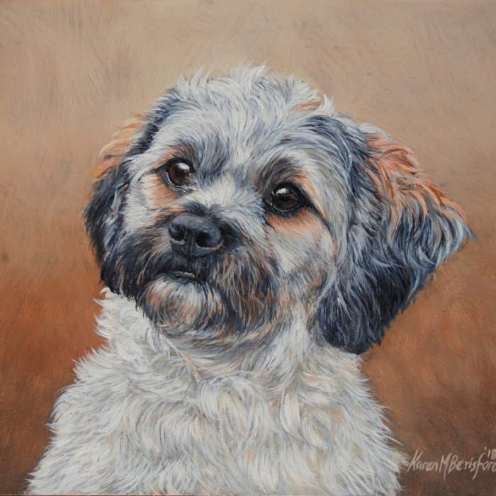 Shipoo dog acrylic painting