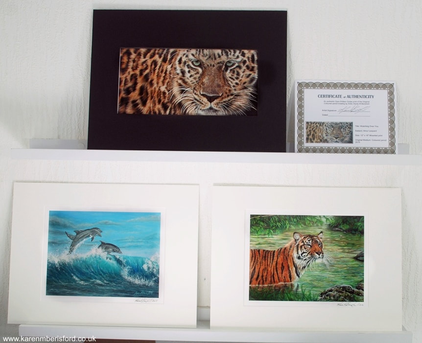 Giclee print of an Amur Leopard pencil drawing, a Sumatran Tiger pencil drawing and a bottlenosed dolphins acrylic painting
