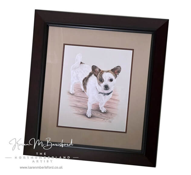 Framed coloured pencil drawing of a Chihuahua/Shih Tzu cross dog framed in a dark moulding