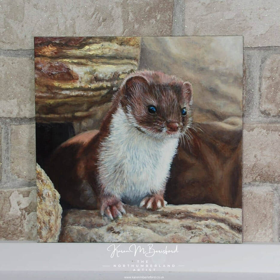 Acrylic painting of a Weasel stood on the rocks at Newbiggin by the sea, Northumberland, UK