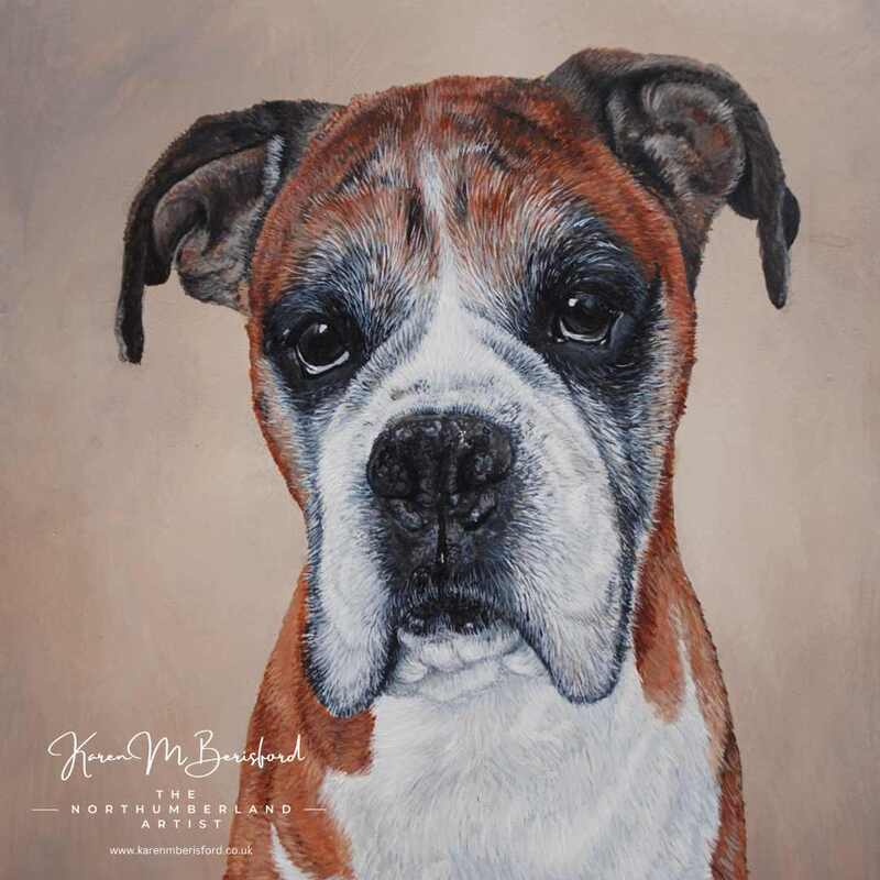 Boxer dog in acrylics