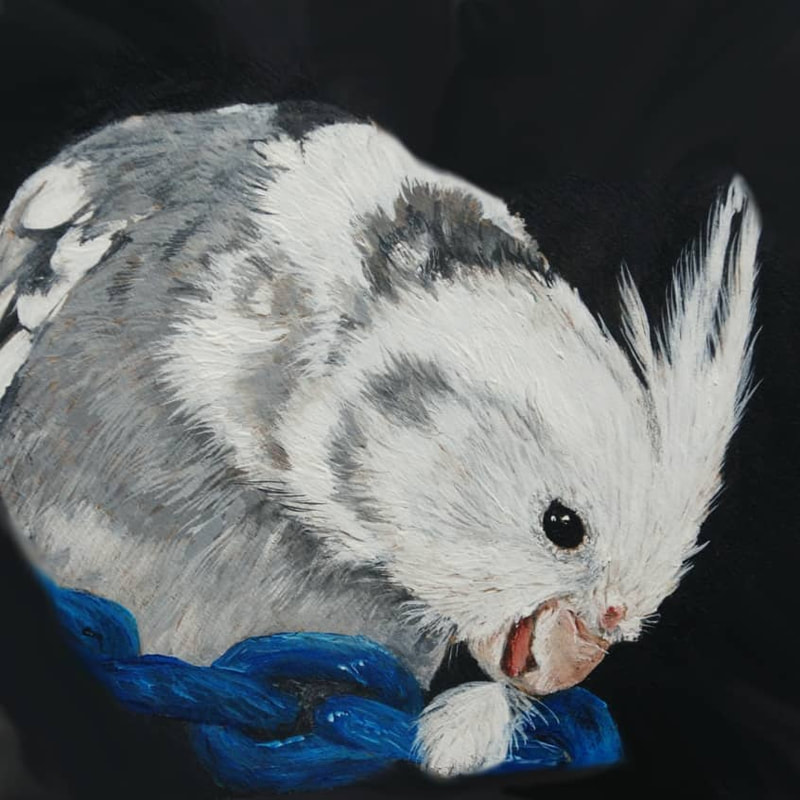Acrylic painting of a white faced cockatiel