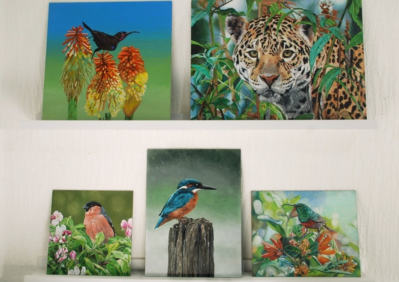 Acrylic paintings of birds and a Jaguar