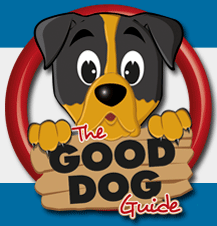Image of a blinking dog for the Good dog guide