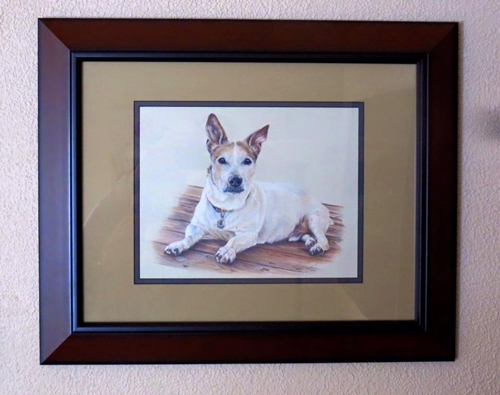 Photograph of a bespoke pet portrait commission depicting a Jack Russell beautifully framed in a mahogany frame