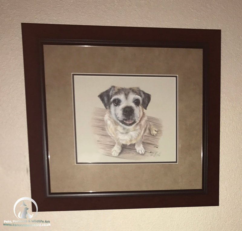 Framed coloured pencil portrait of a jack russell/pug cross dog