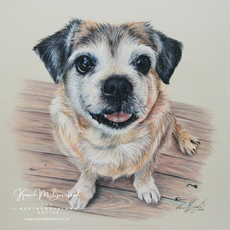 Bailey - Jack Russell/Pug cross coloured pencil drawing