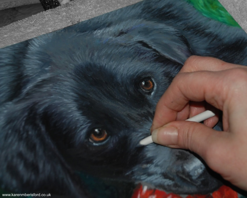 Blending oil pastels with a tortillion on a black Labrador painting 