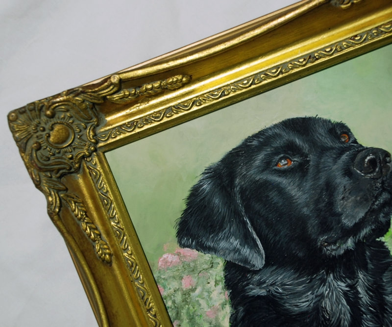 Black Labrador retriever framed in a gold swept frame