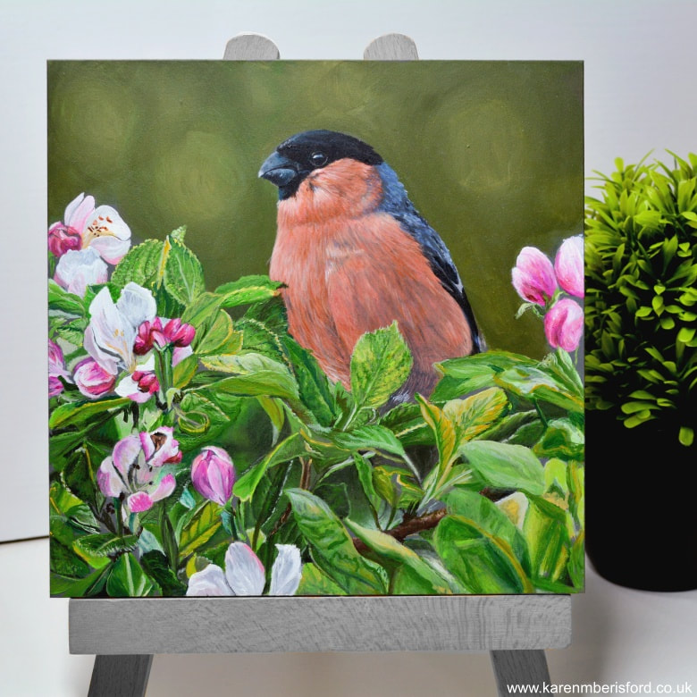 Acrylic painting of a Bullfinch in an Apple Blossom tree