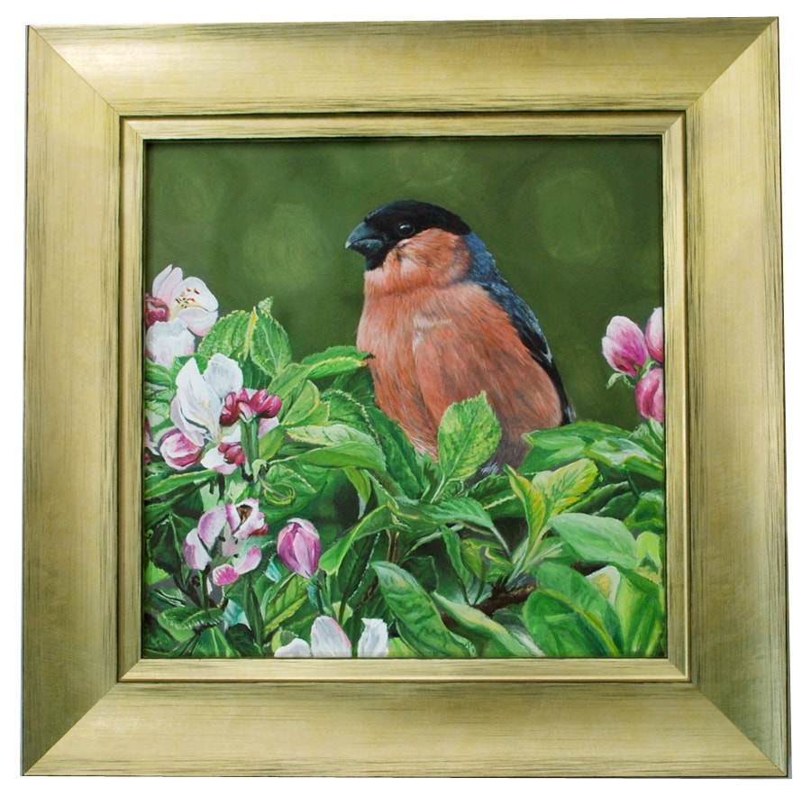 Acrylic painting of a Bullfinch on apple blossom in a gold foil frame
