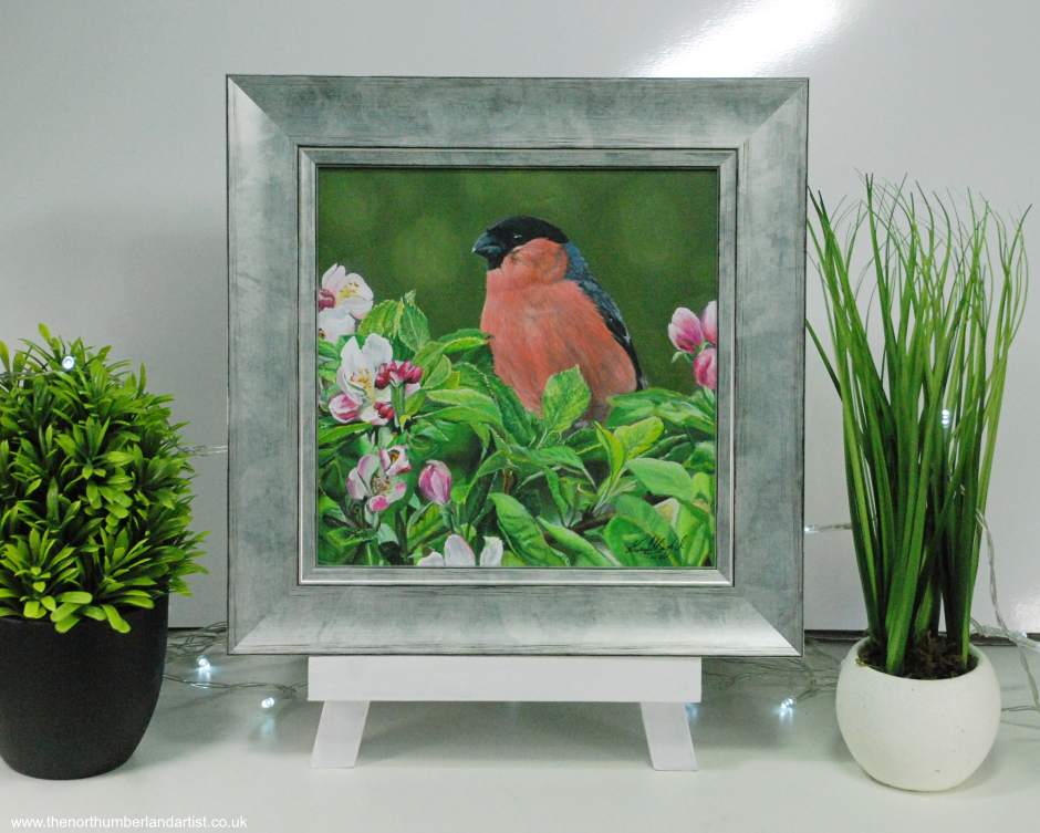Acrylic painting of a male Bullfinch among cherry blossom in a silver foil frame