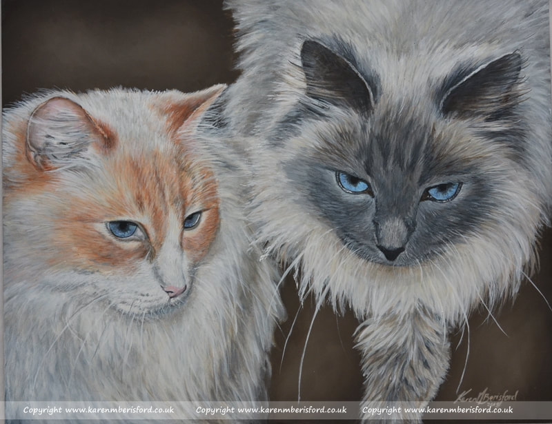 Ragdoll cats acrylic painting