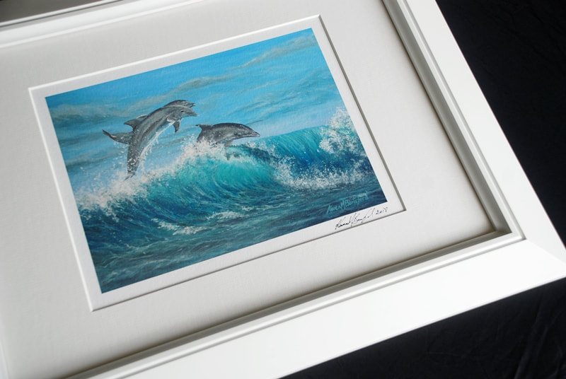 Bottlenosed dolphins giclee print in a white frame