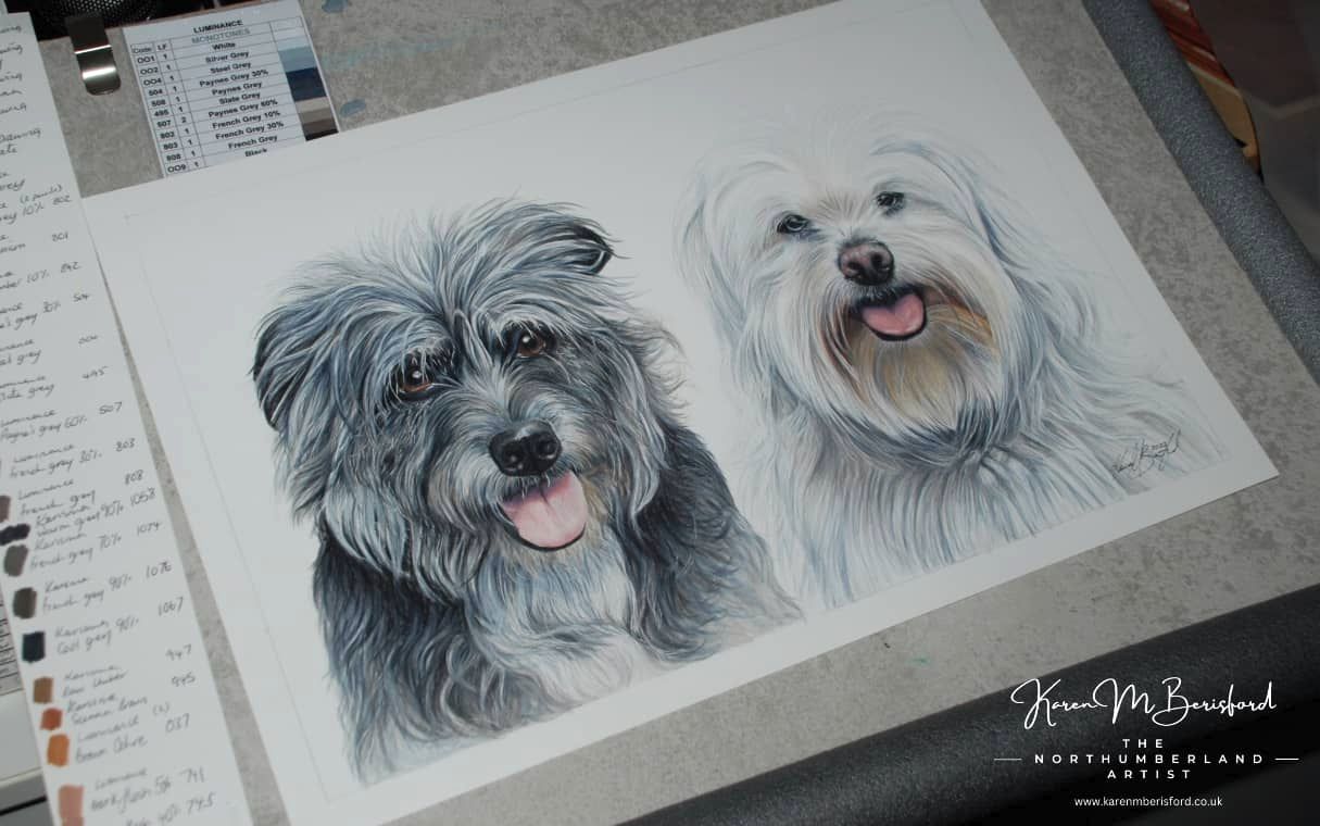 Working on a lifelike coloured pencil drawing of two small mixed breed rescue dogs