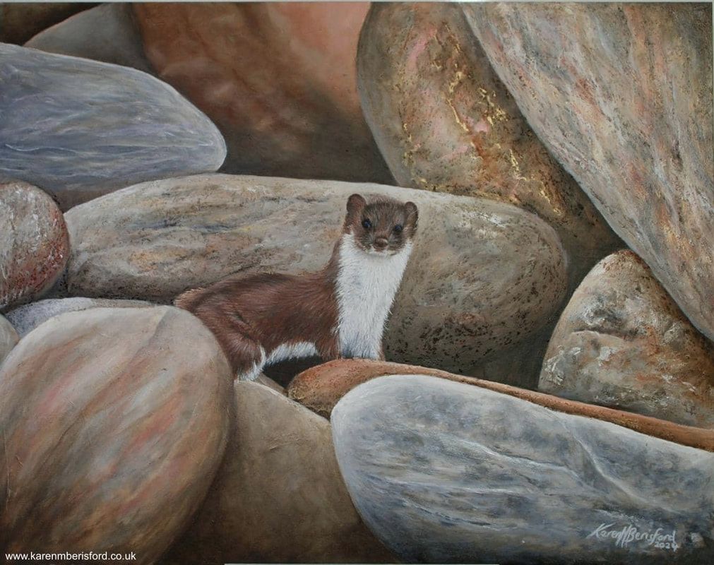 Acrylic painting of a Weasel among the rocks on Newbiggin beach, Northumberland, UK