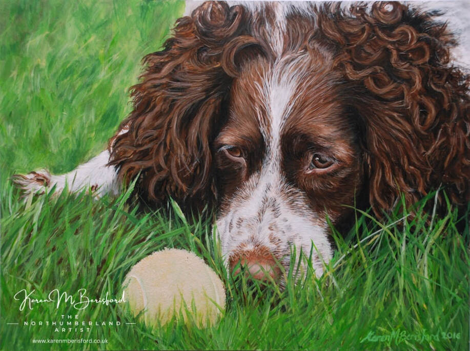 Acrylic painting in progress of a Springer Spaniel dog swimming in the local lake