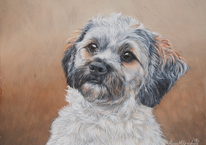 Shipoo dog painting