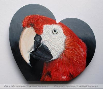 Scarlet Macaw heart shaped acrylic painting