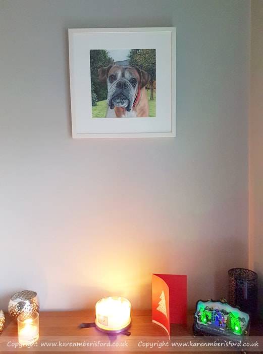 BuBu the Boxer dog created in Coloured pencils and framed in a white mount and frame hung on the wall