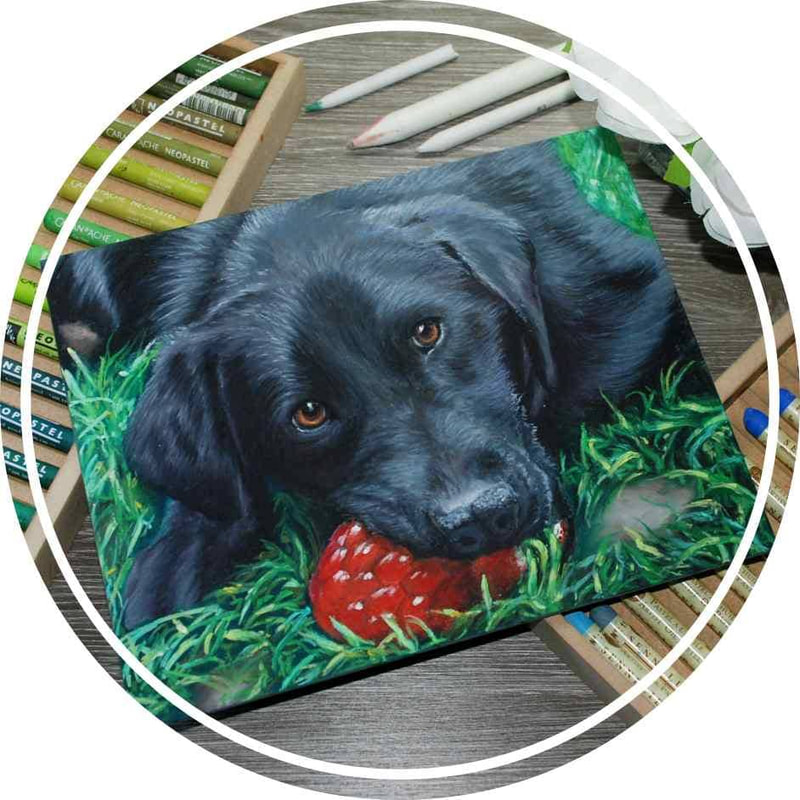 Oil pastel painting of a black labrador dog with his squeaky red raspberry