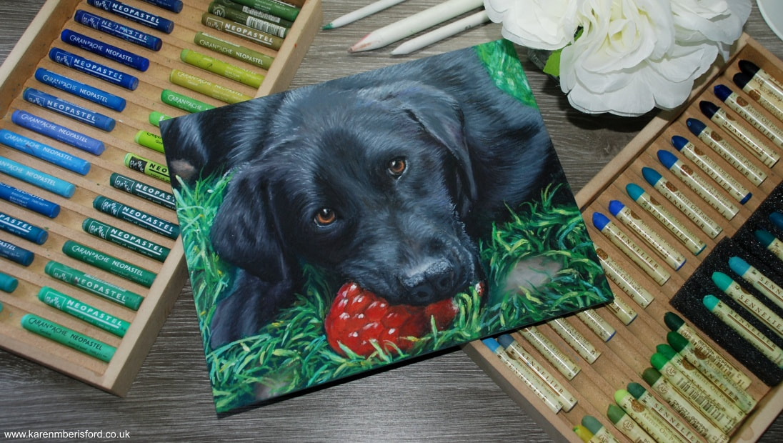 Neopastels and Sennelier oil pastels and an oil pastels painting of a black labrador with a raspberry squeaky dog toy created on Ampersand Pastelbord
