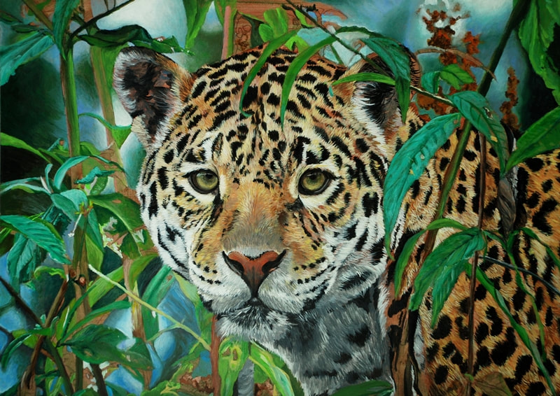 Jaguar in Acrylics