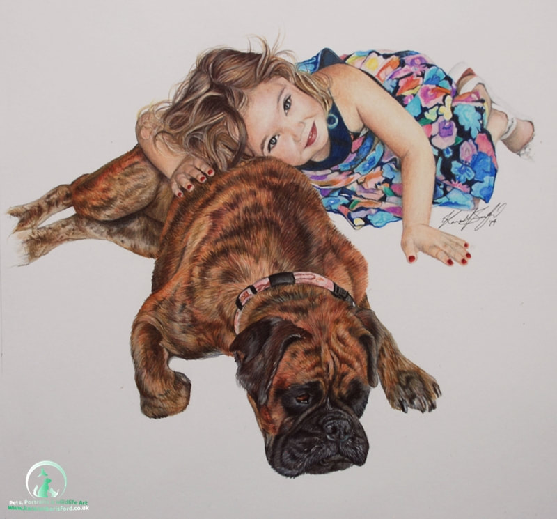 Male Brindle Boxer dog pet portrait and a little girl in a colourful dress created in Coloured pencils