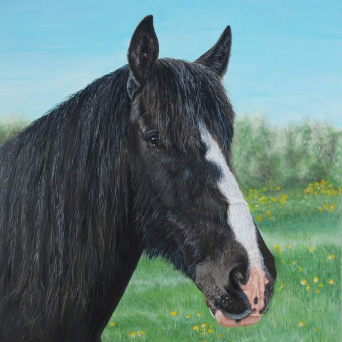 Louie the Dark Bay Horse acrylic painting