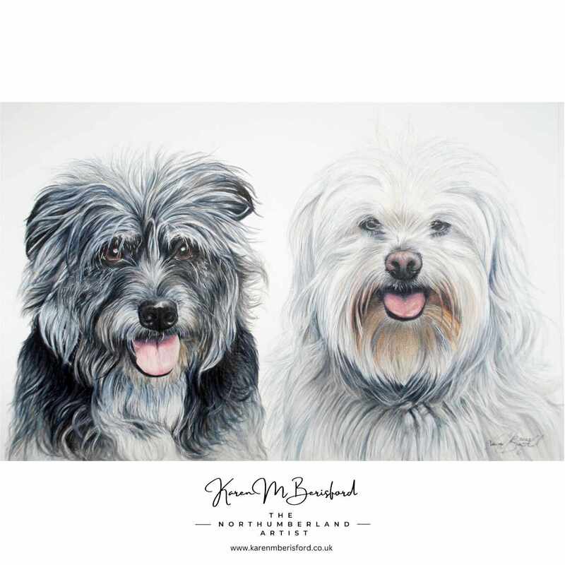Lifelike coloured pencil drawing of two mixed breed dogs