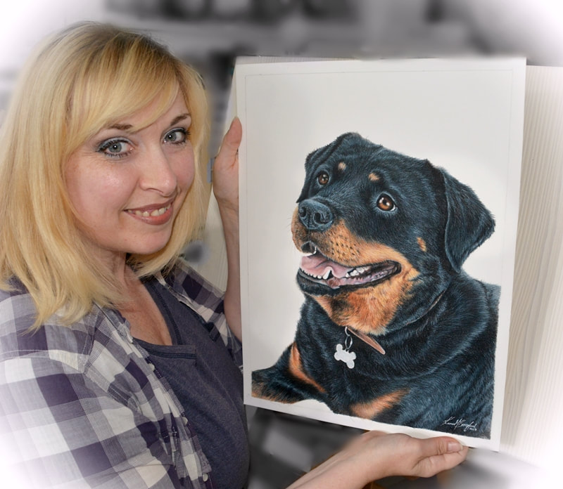 Rottweiler dog in coloured pencils