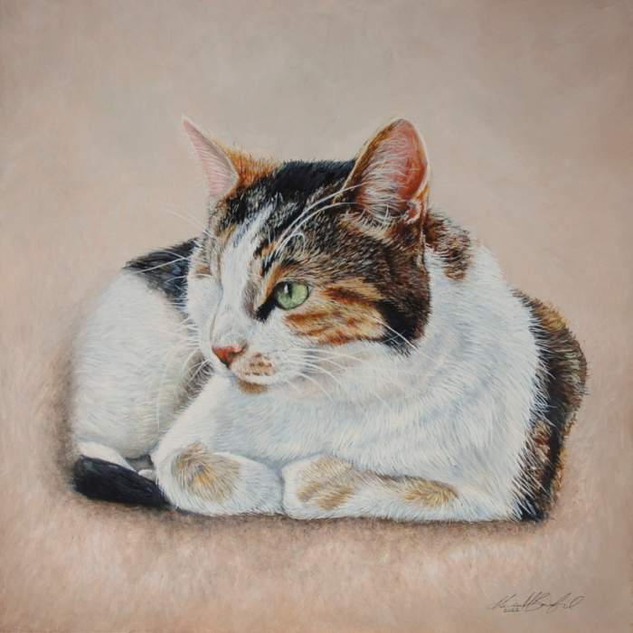 Mindy the Calico shorthair cat acrylic painting