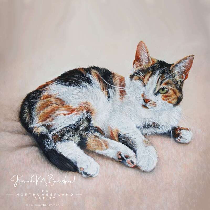 One-eyed Calico shorthaired cat acrylic painting