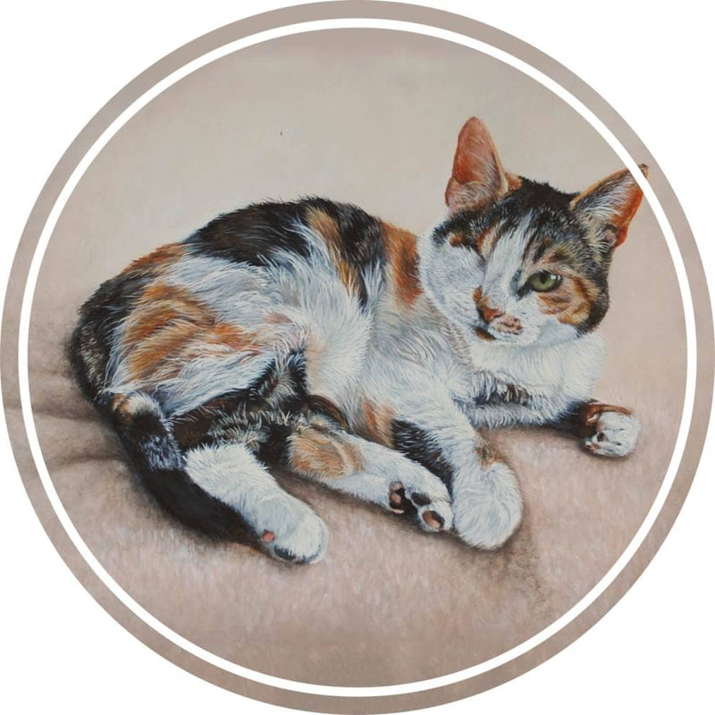 Calico cat in acrylics