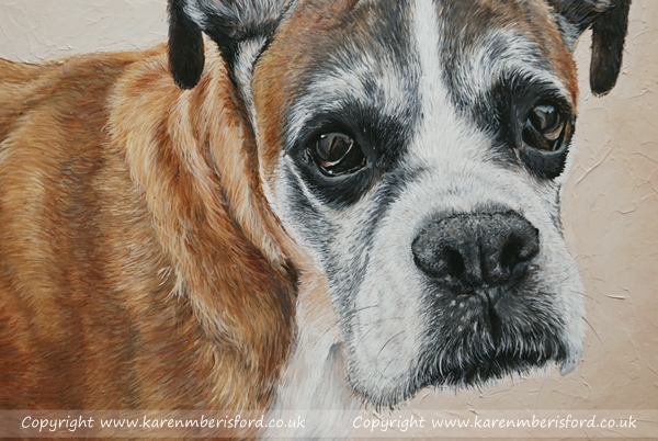 Detail in an acrylic painting of a Boxer dog portrait