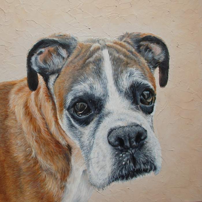 Obie the Fawn Boxer dog acrylic painting