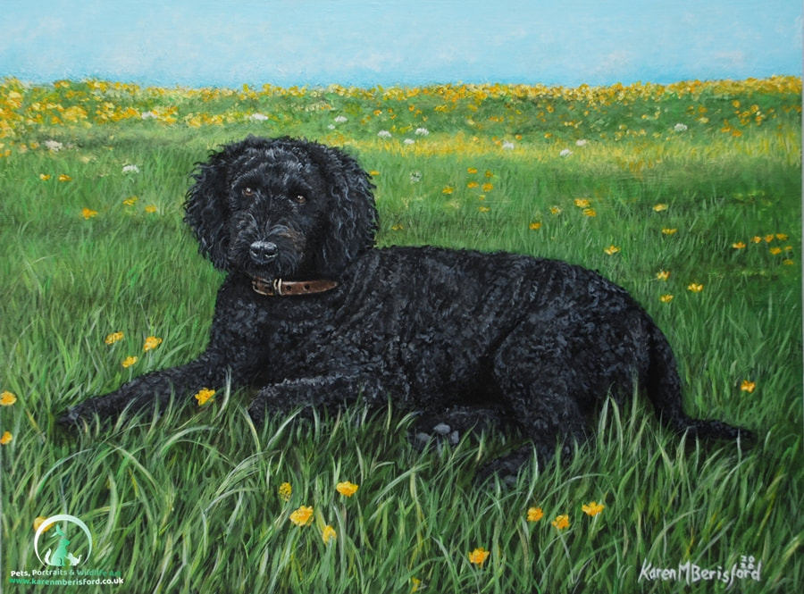 Acrylic painting of a black Labradoodle dog - commissioned