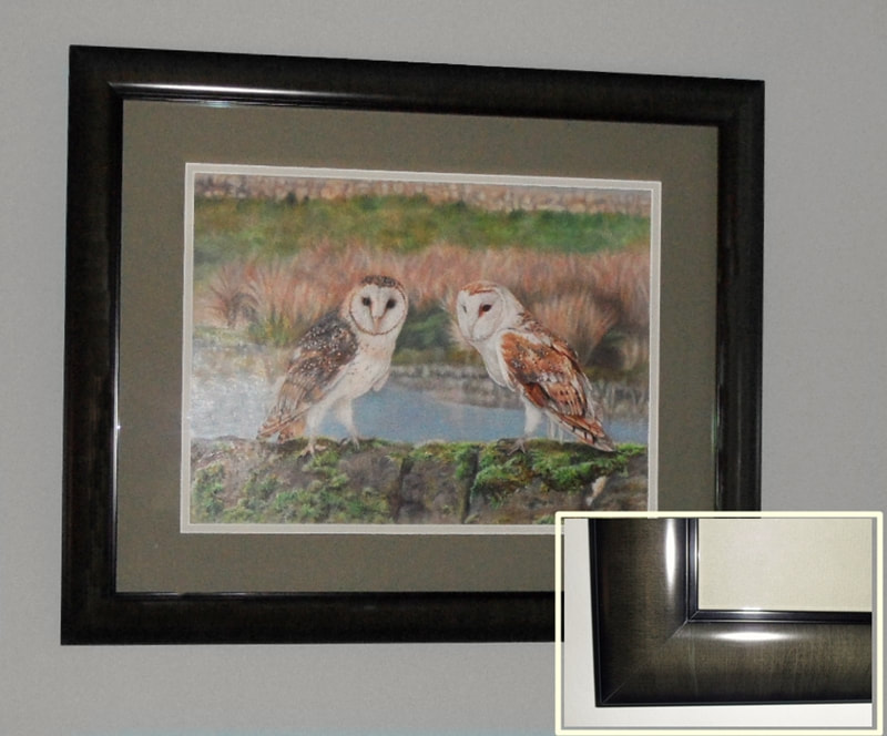 Framed portrait of Barn Owls completed in Coloured pencils