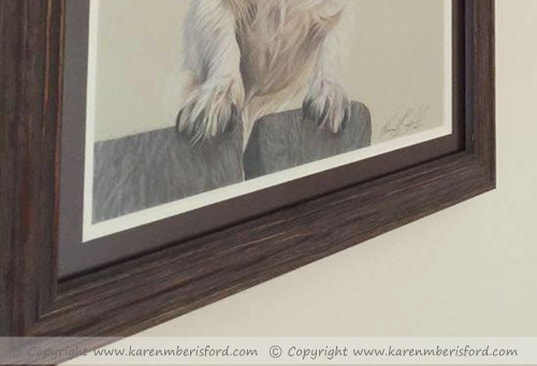 frame up close of jack russell pencil portrait