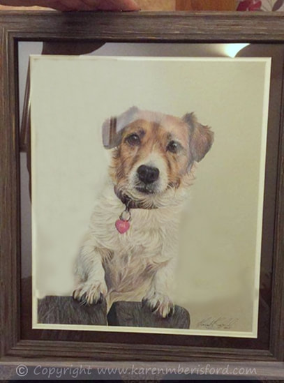 jack russell coloured pencil portrait in brown frame