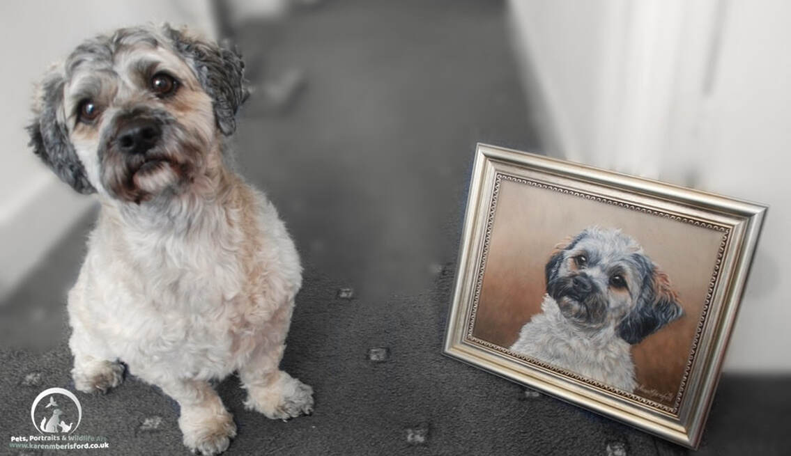 Shipoo dog and his acrylic painting in a gold frame