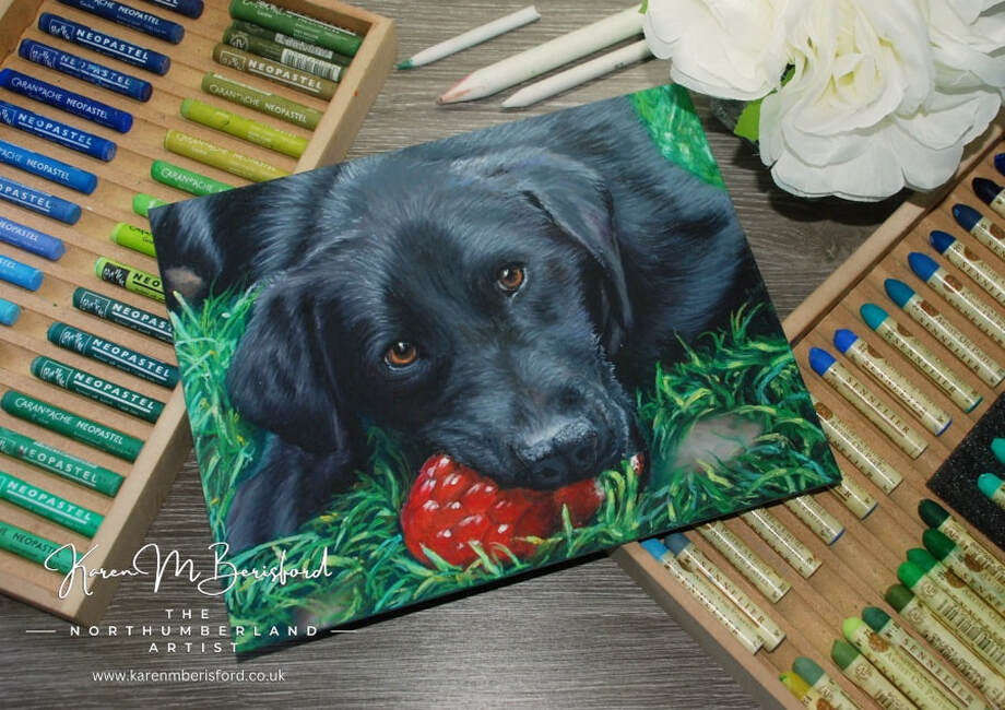 Oil pastel painting of Haze the black labrador and Caran dache Neopastels and Sennelier oil pastels